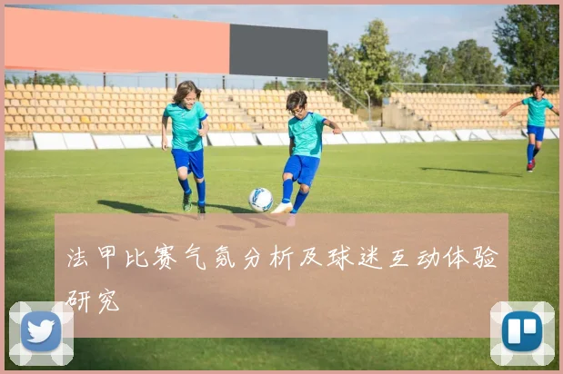 法甲比赛气氛分析及球迷互动体验研究