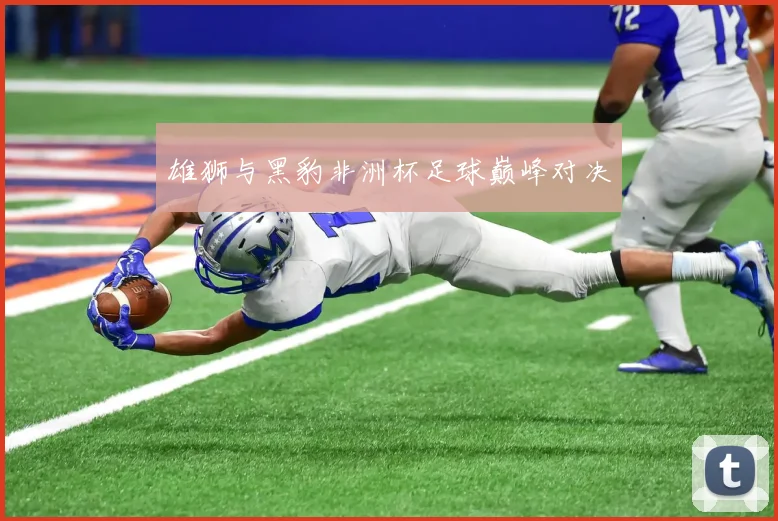 雄狮与黑豹非洲杯足球巅峰对决