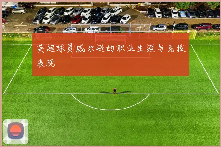 英超球员威尔逊的职业生涯与竞技表现