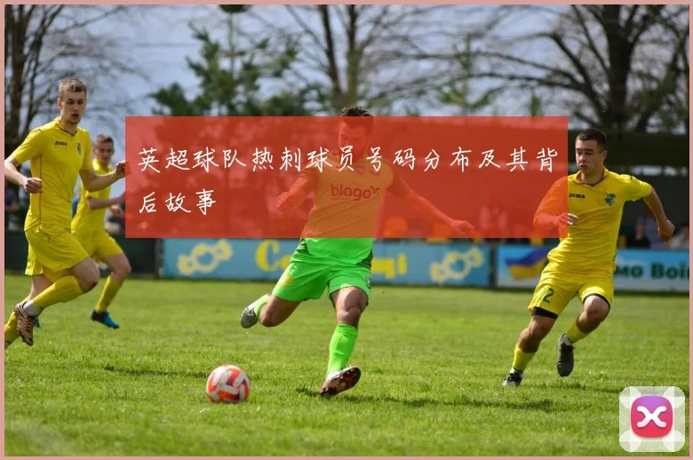 英超球队热刺球员号码分布及其背后故事
