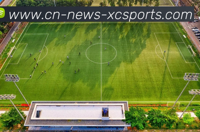 杏彩体育发展历程